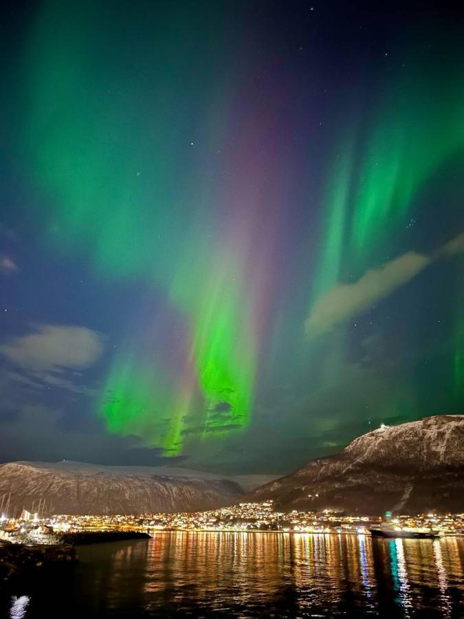 Leilighet Ved Havet Med Utsikt Over Tromsoysundet. 外观 照片